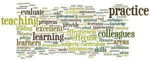 The 15 Standards for Excellent Teachers as a wordle.